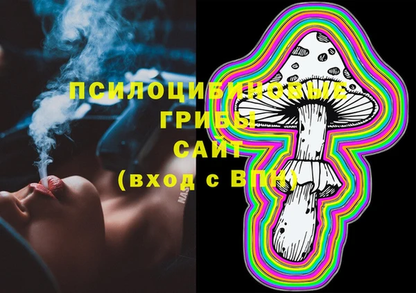 шишки Бронницы
