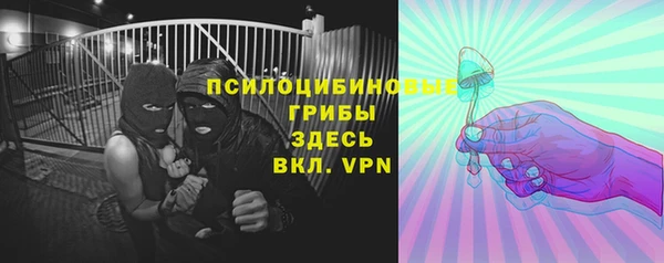 ALPHA PVP Бородино