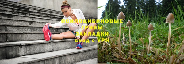 мескалин Богданович