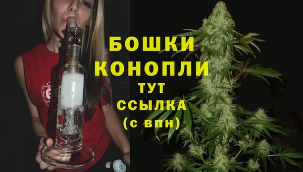 дмт Богородск
