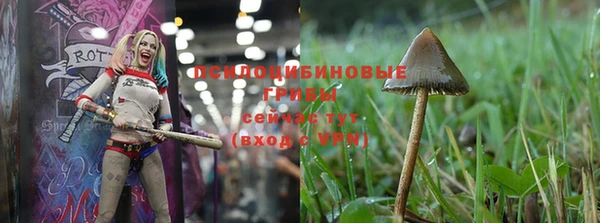 мескалин Богданович