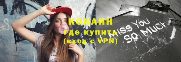 дмт Богородск