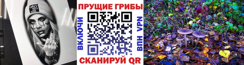 Псилоцибиновые грибы Psilocybe  Лукоянов 